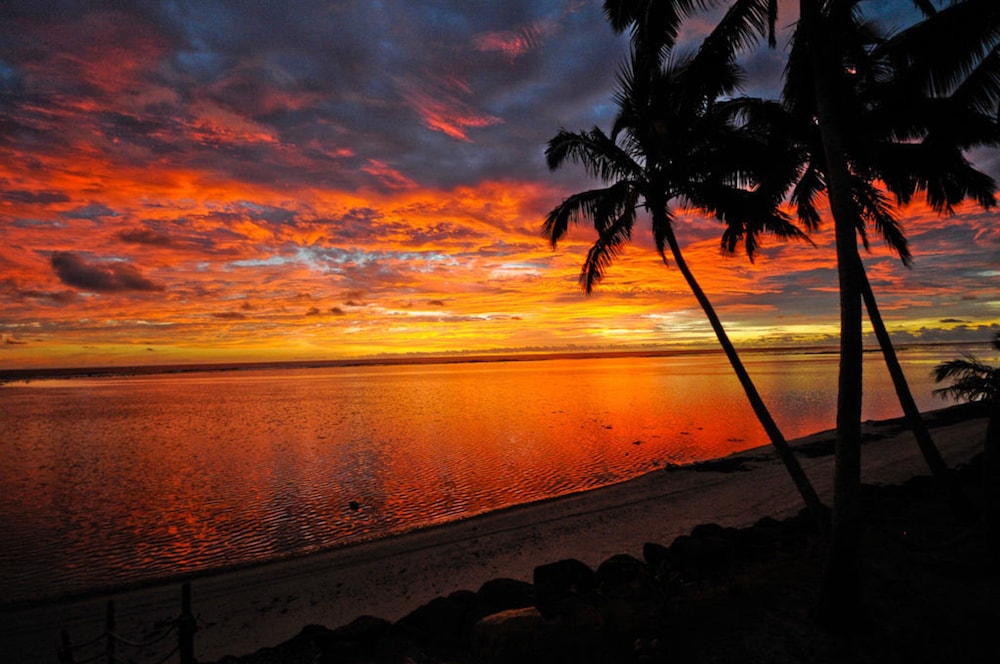 Raro Beach Bach