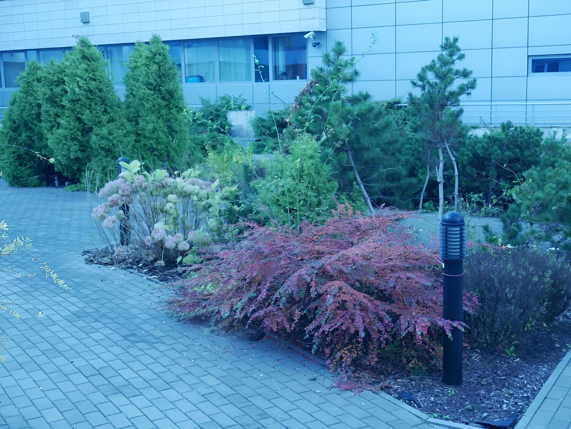 Photo 17