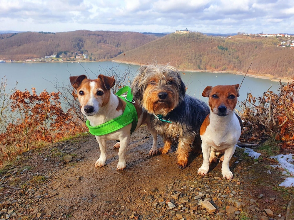 Ferienwohnung mit Bergblick