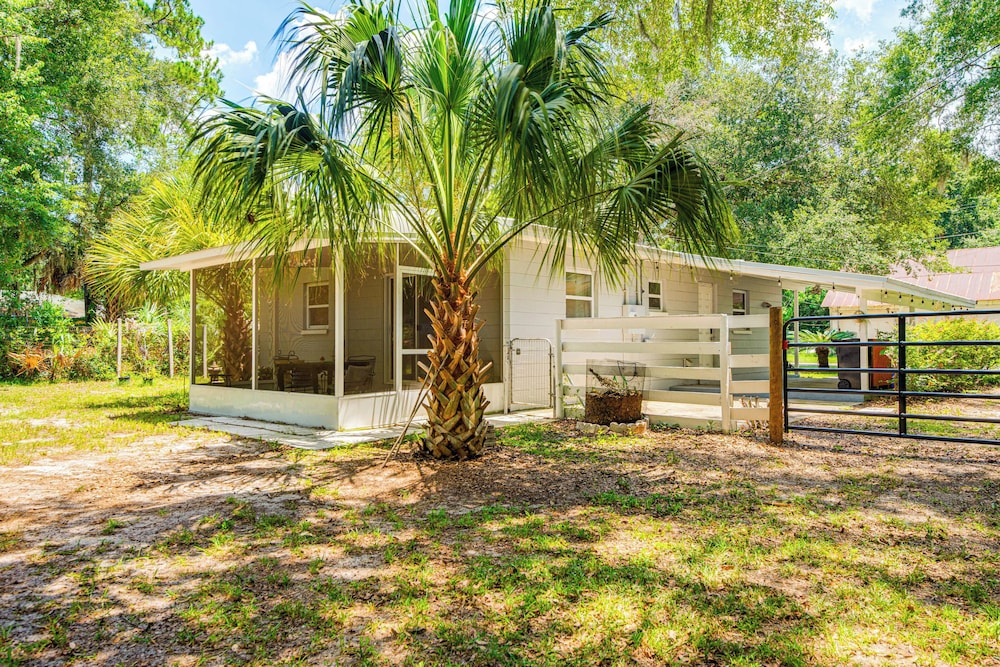 Mid-century Gainesville Getaway: 3 Mi to UF Campus view 2