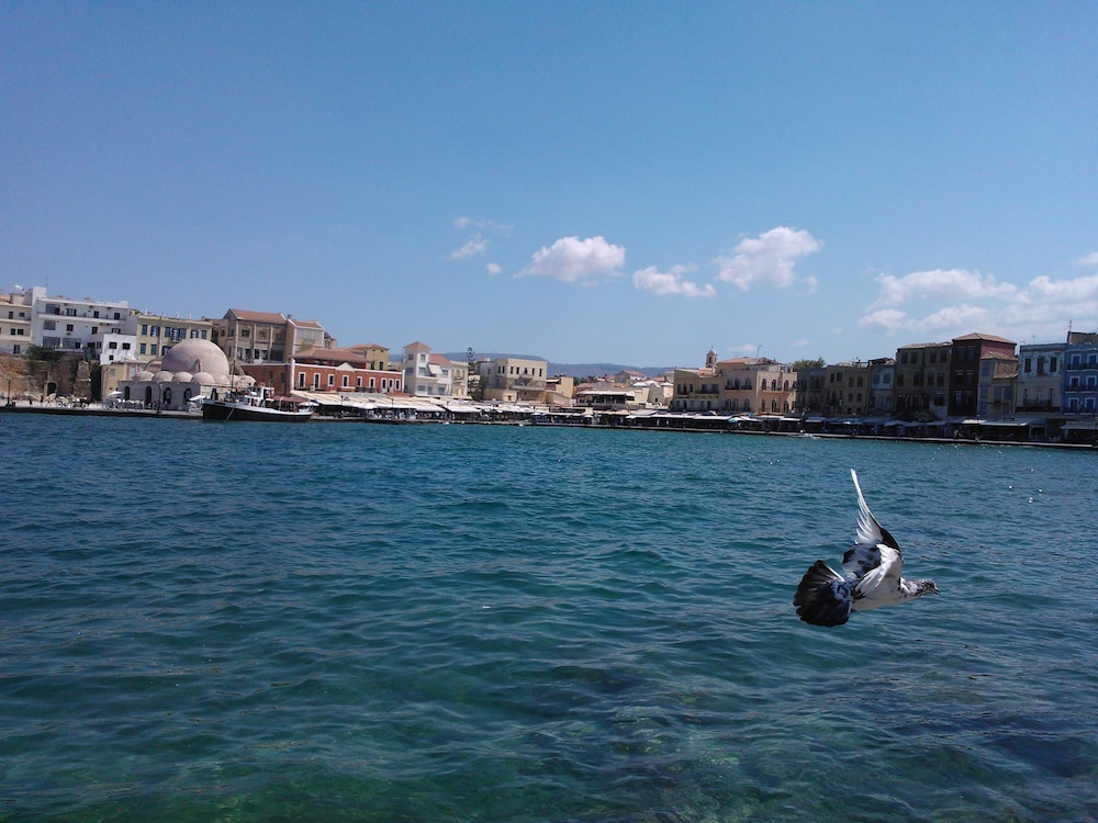 Photo 30