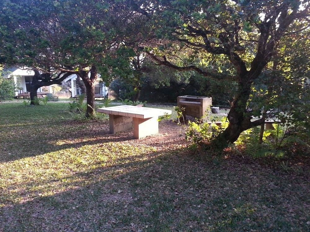 Photo 26