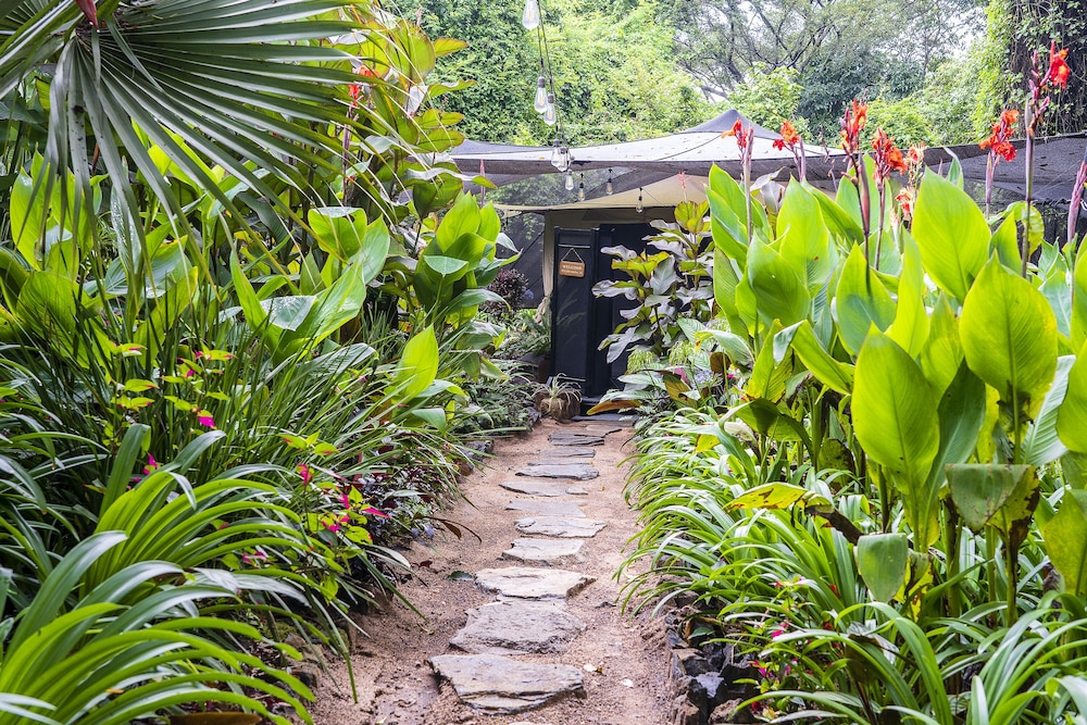 Ngare Sero Mountain Lodge
