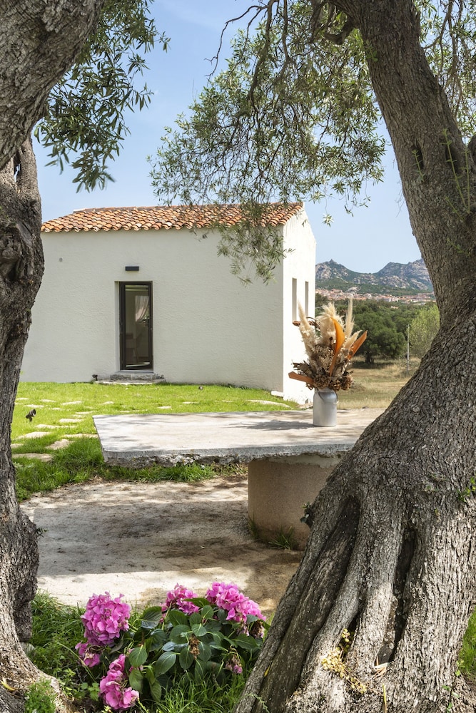 Arzachena Vacations - Uddastri Retreat - Property Image 4
