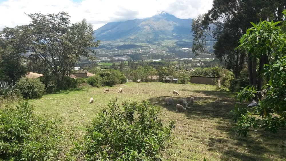 Loma Wasi Village