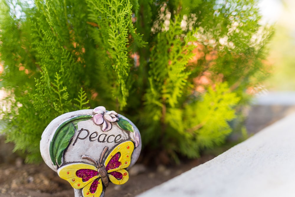 O Casarao Guesthouse