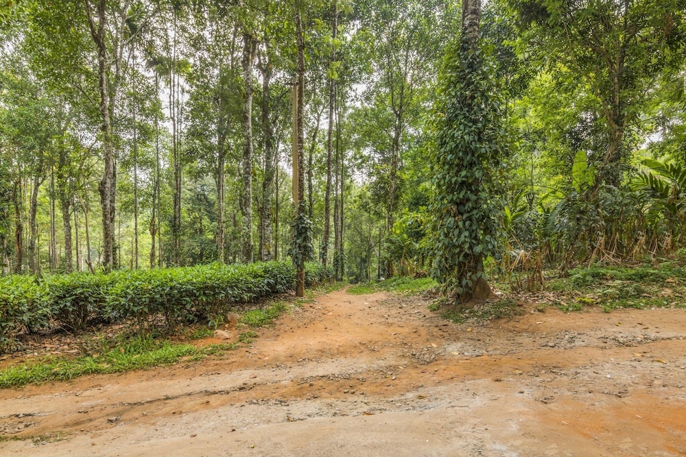GuestHouser 4 BHK Tree house 7d51