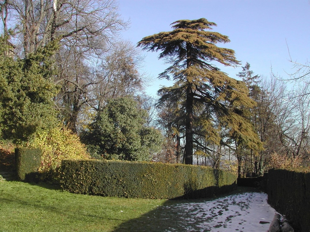 Charming Castle Stay, Robella view 3