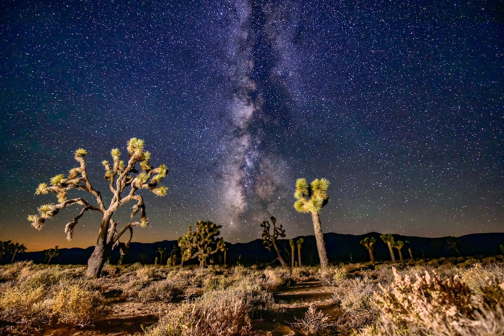 Panamint Springs Resort