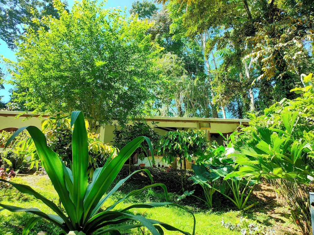 FINCA ARDILLA
