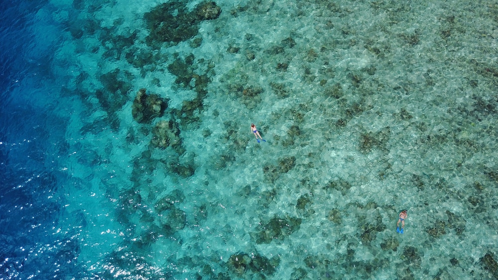 Beach Veli