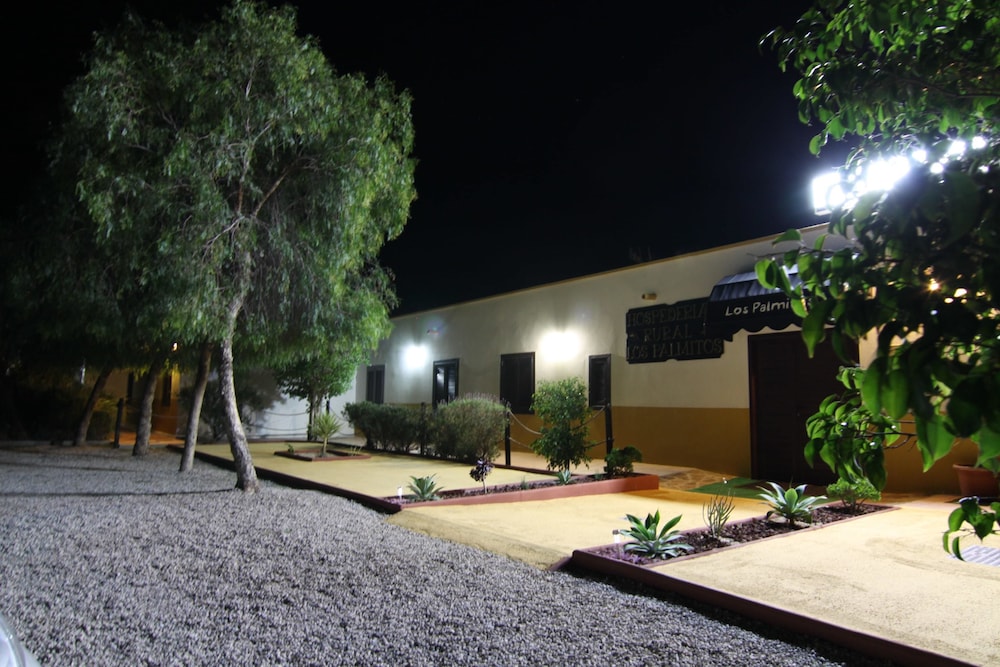 Photo 41