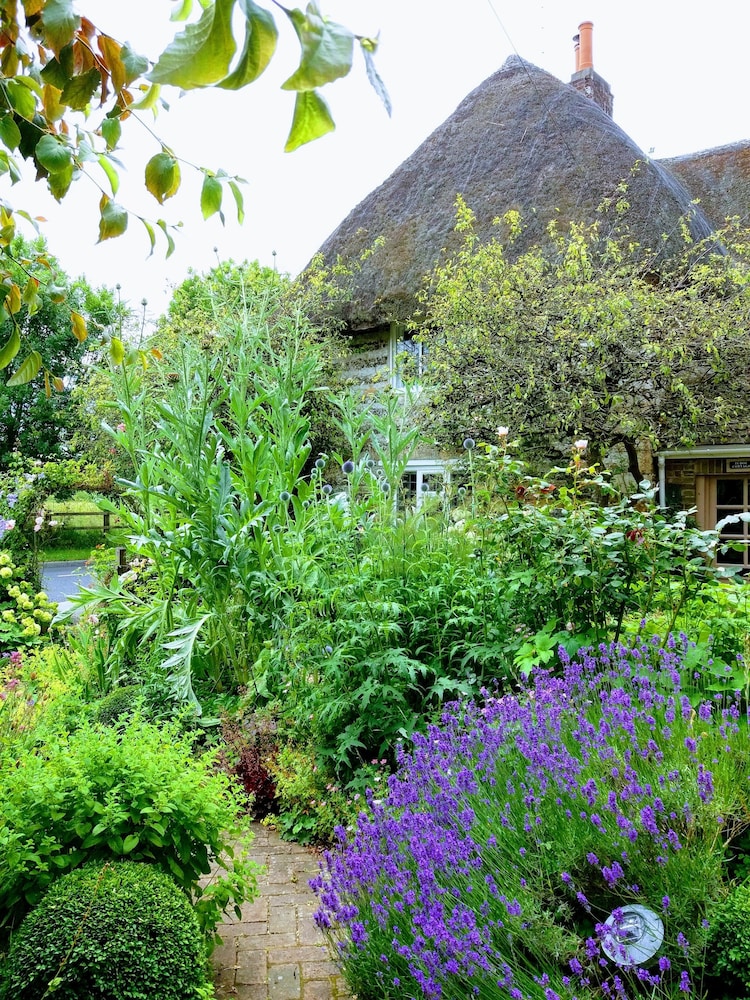 Tudor Cottage Bed & Breakfast Dorchester