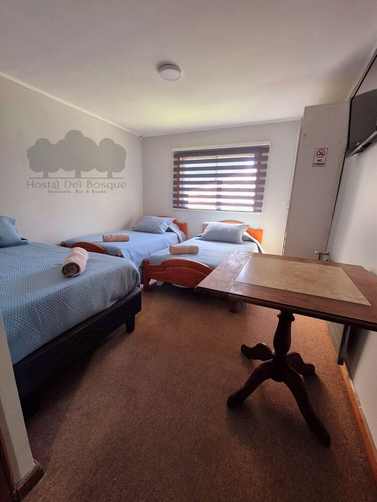 HOSTAL DEL BOSQUE TEMUCO