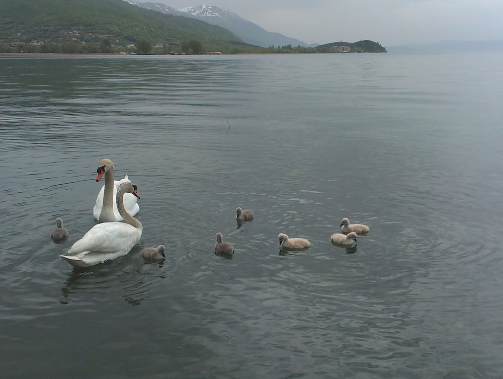 Photo 30