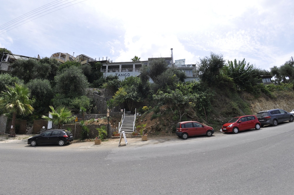 Photo 16