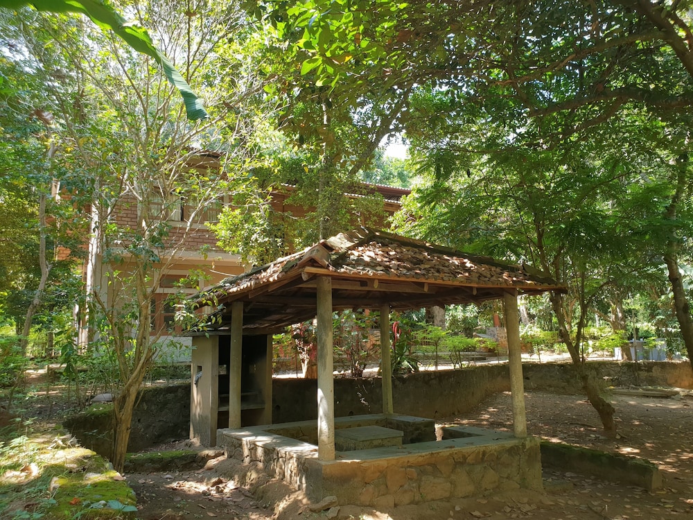 Photo 43