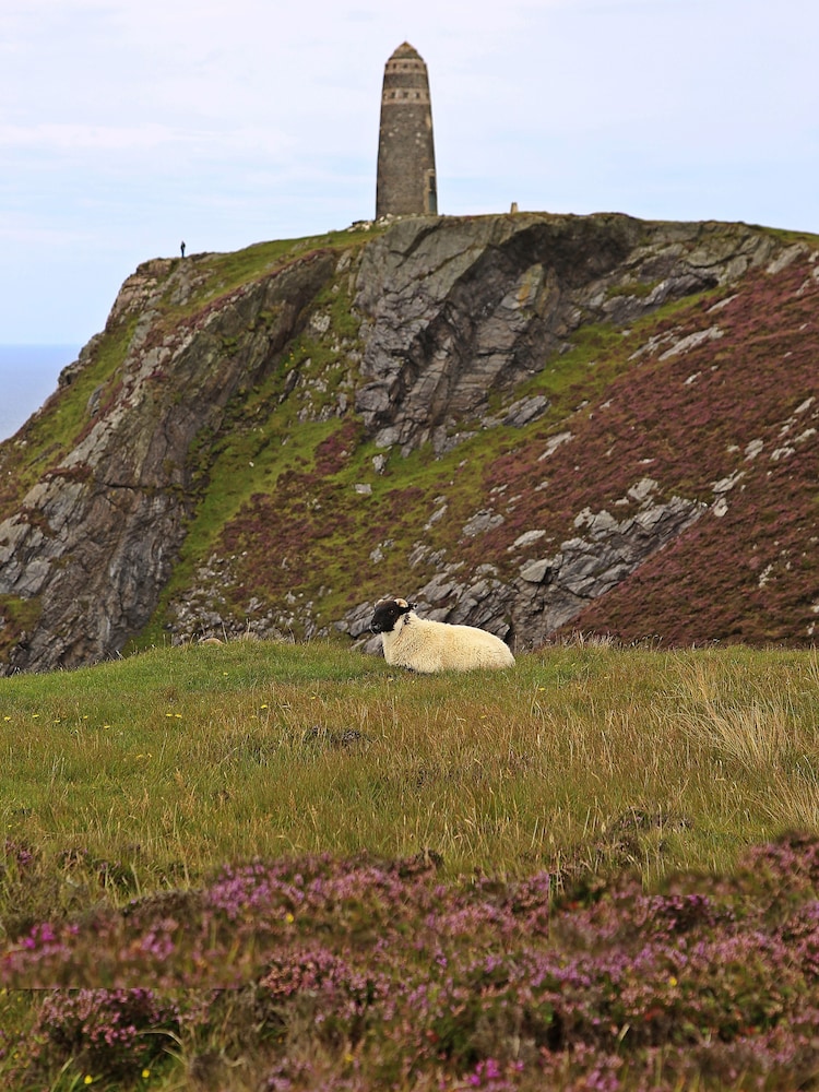 The Island Bear B&B