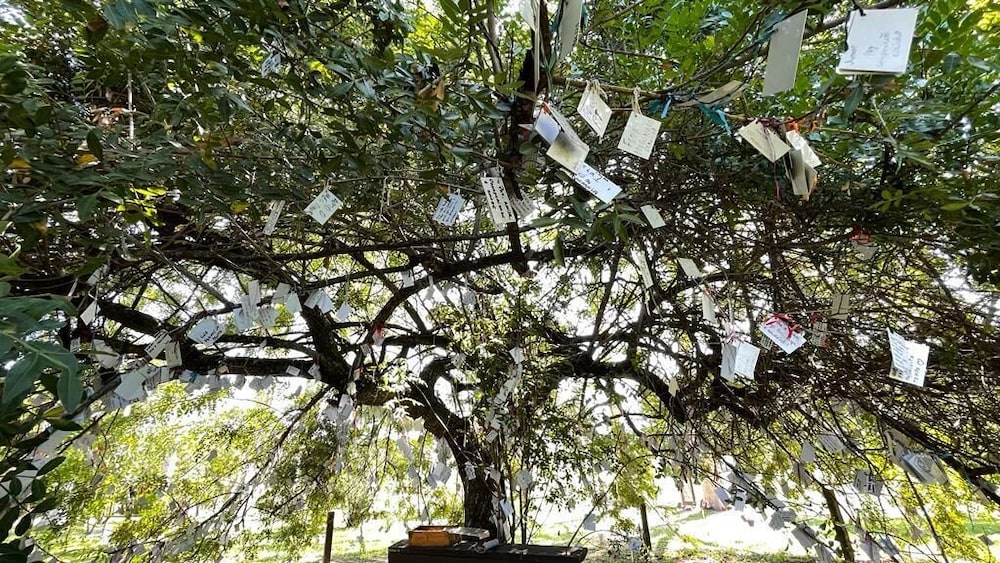 Sítio Areia Branca