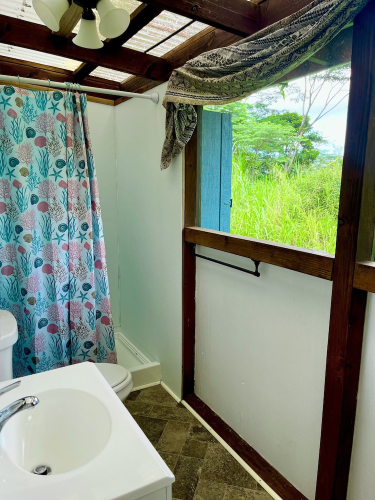 Hawaiian Sanctuary