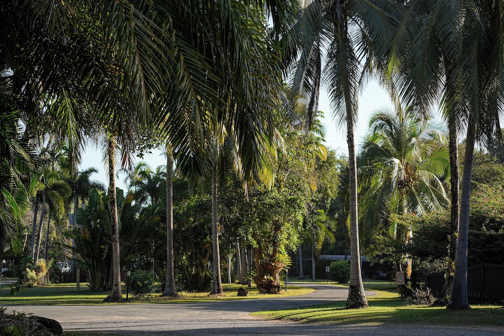 Daintree Beach Resort