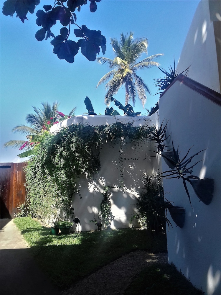 Jardim dos Aloés - Unique B&B, photo 30