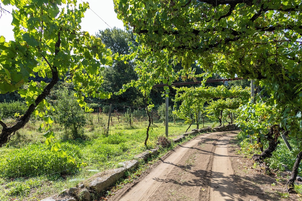 Quinta da Comenda - Casa da Bica