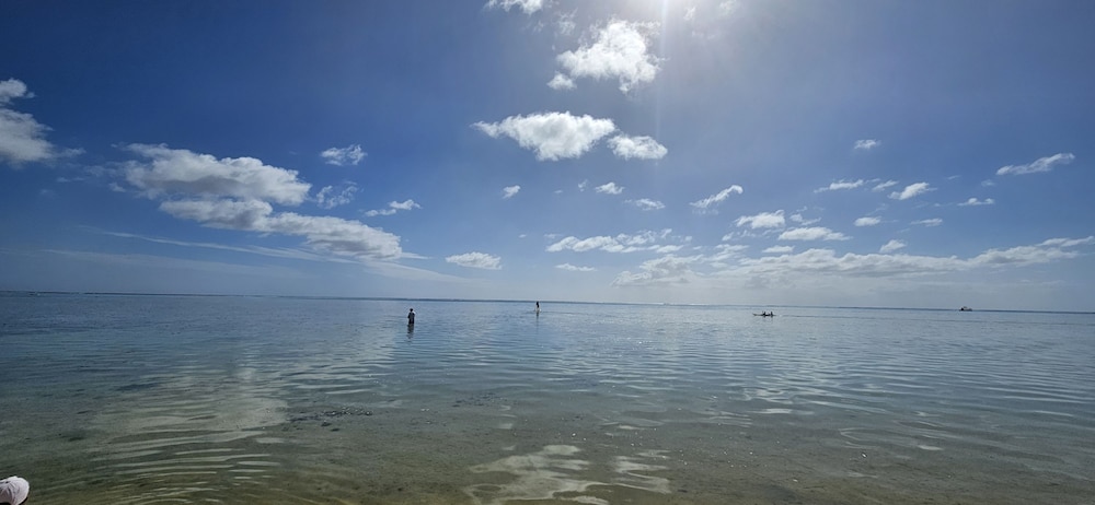 Moorea - Tropical Nest