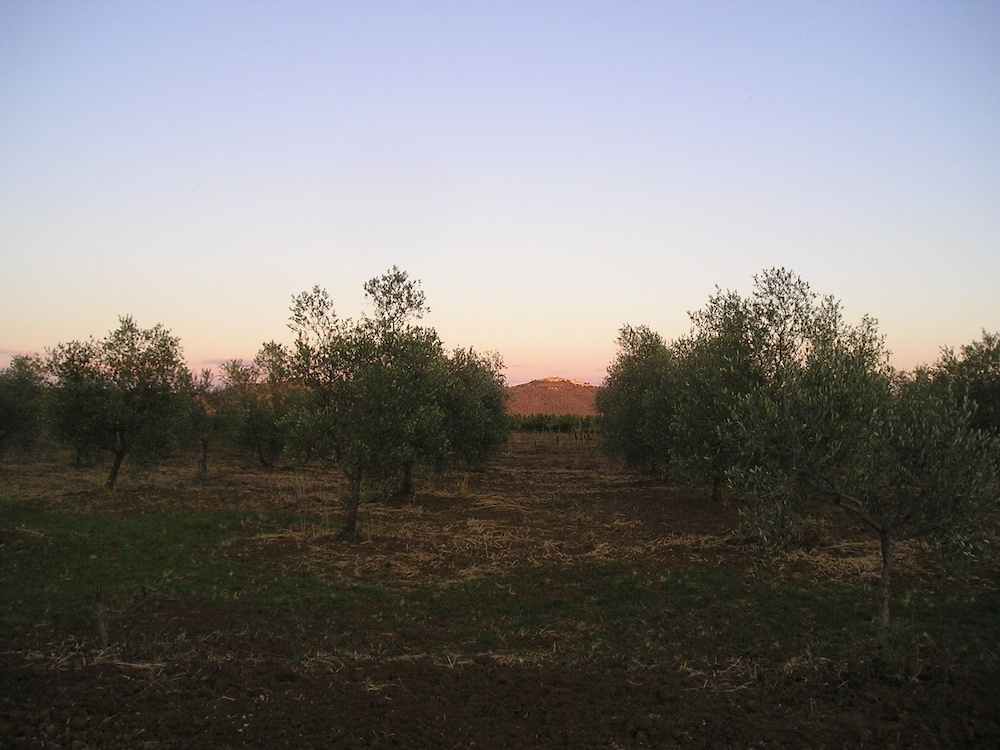 Agriturismo Benvenuti