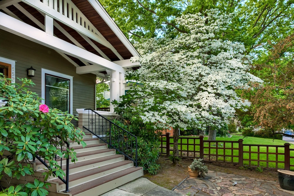 Photo 58