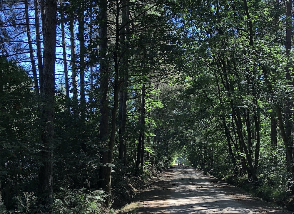 Lodge Near Antwerp With Nature Trails