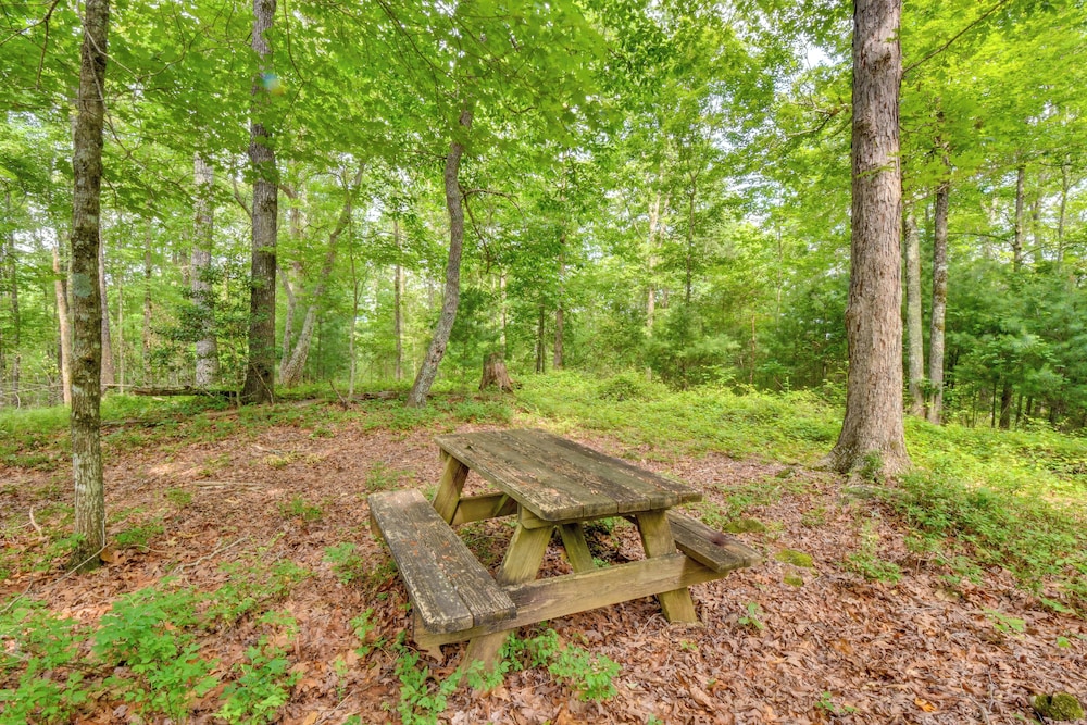 6 Mi to Helen: Romantic Georgia Cottage Hideaway!
