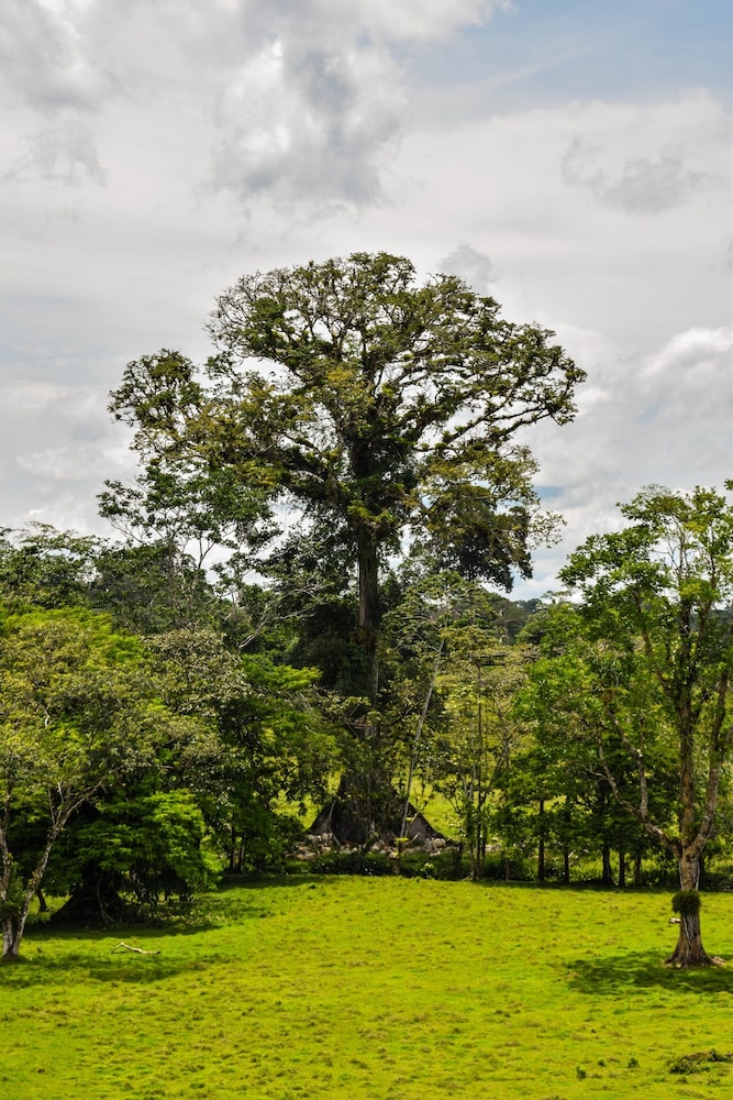 Tapir Lodge