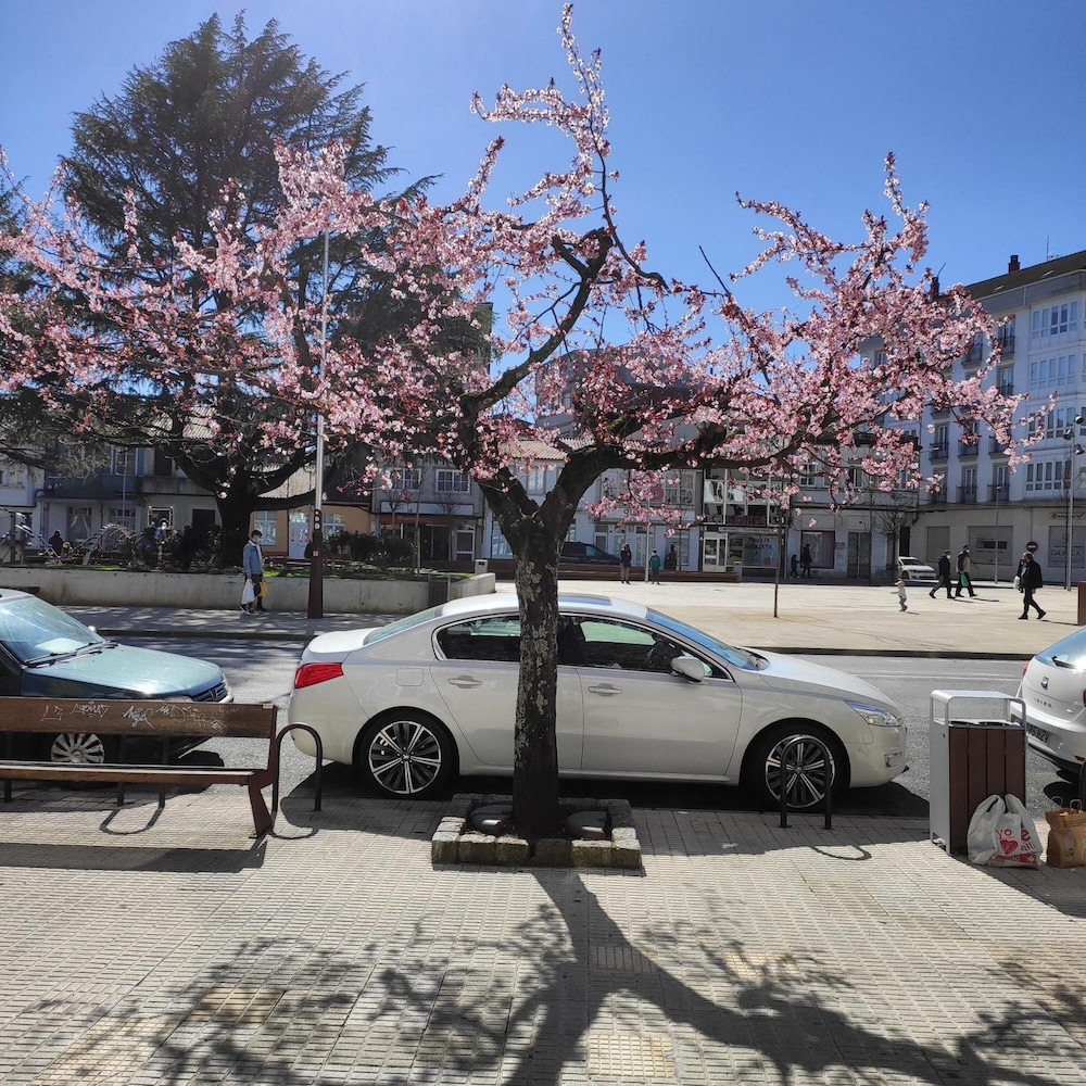 Albergue Arraigos - Hostel - Property Image 11