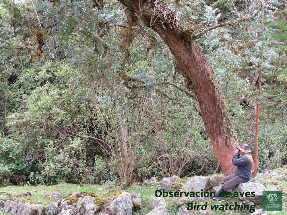 Finca Los Arboles