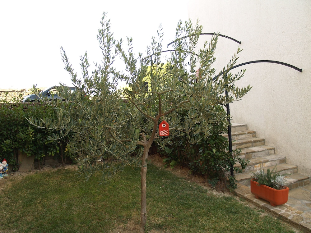 Photo 39