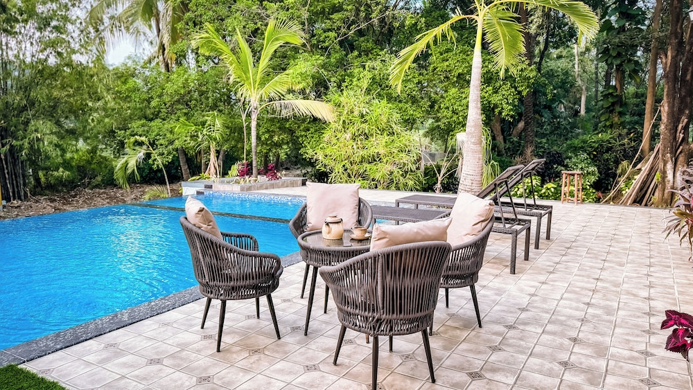 Aeraki palms