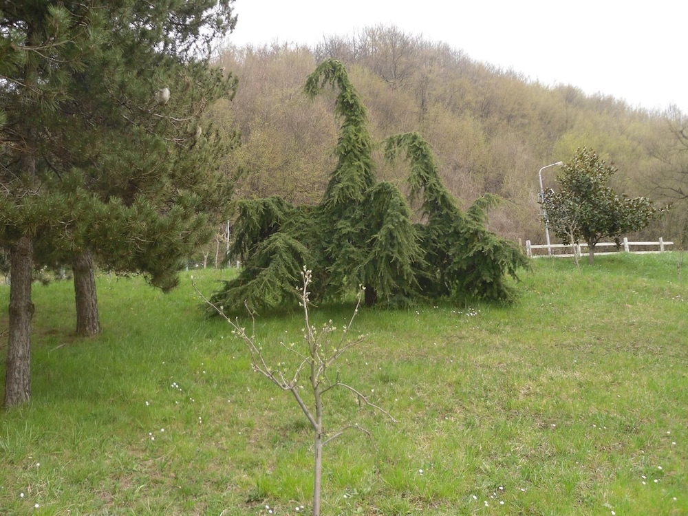 Photo 47