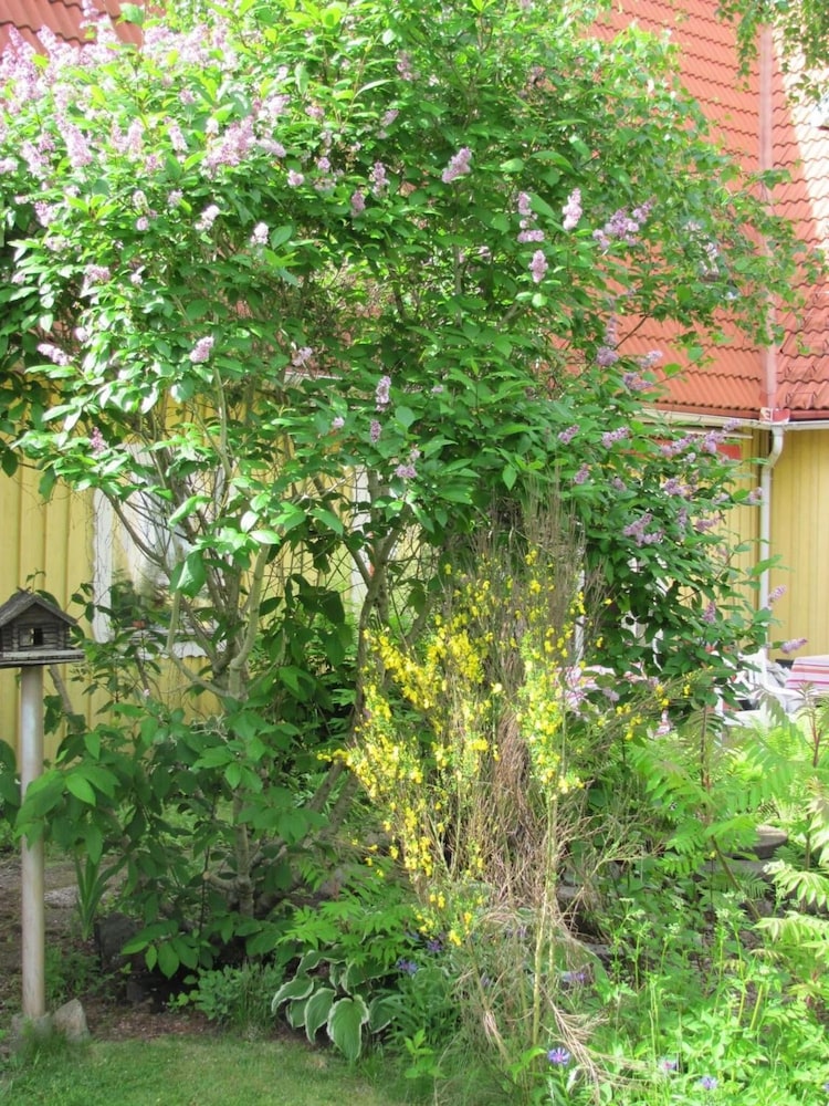 Photo 34