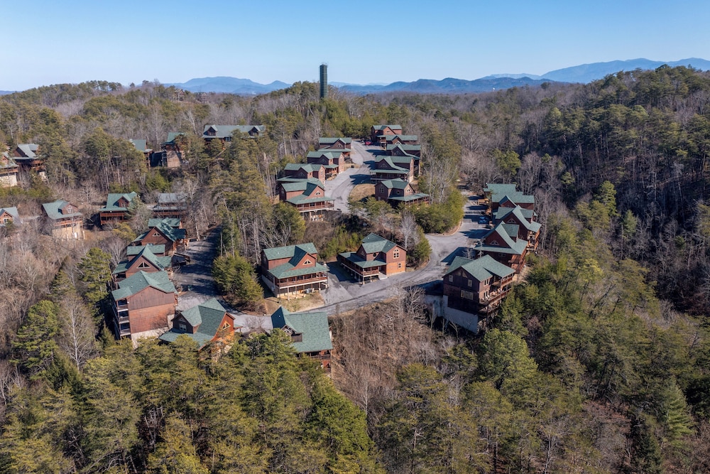 Chilling Bear Lodge