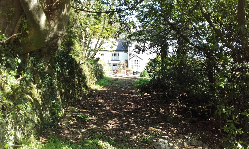 Photo 40
