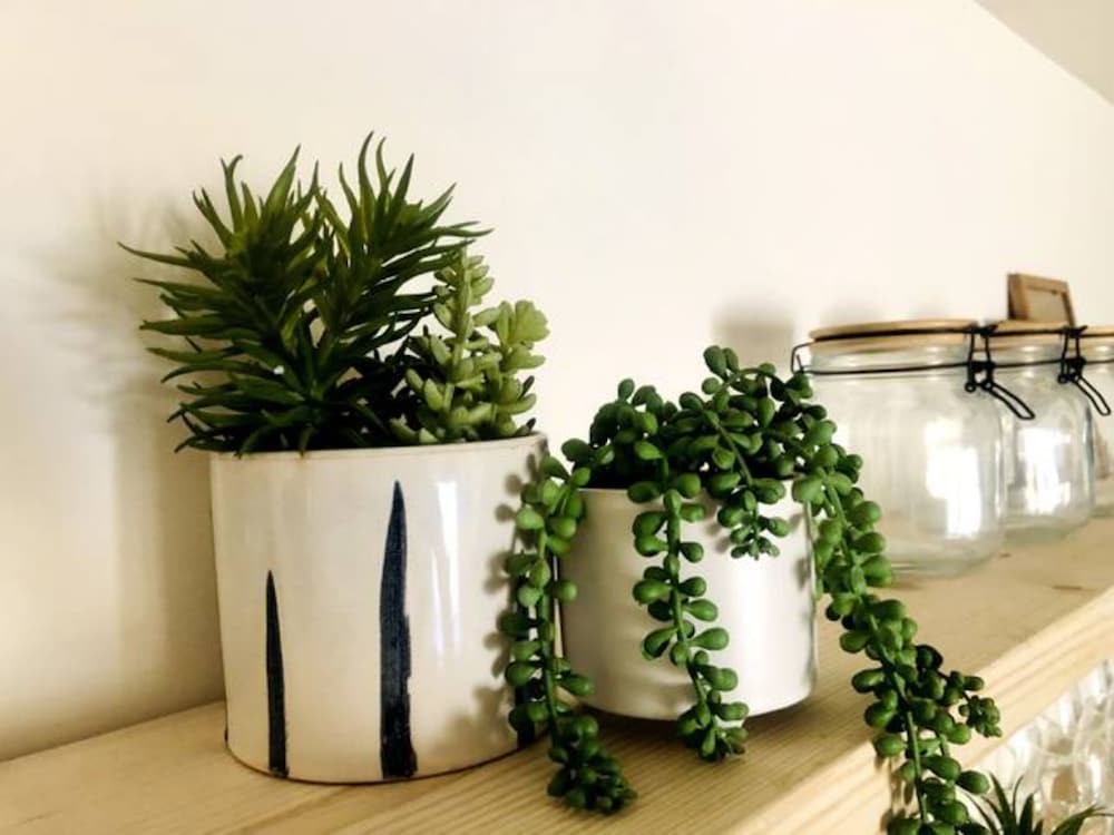 Stroud Vacations - Hosta House - Property Image 10