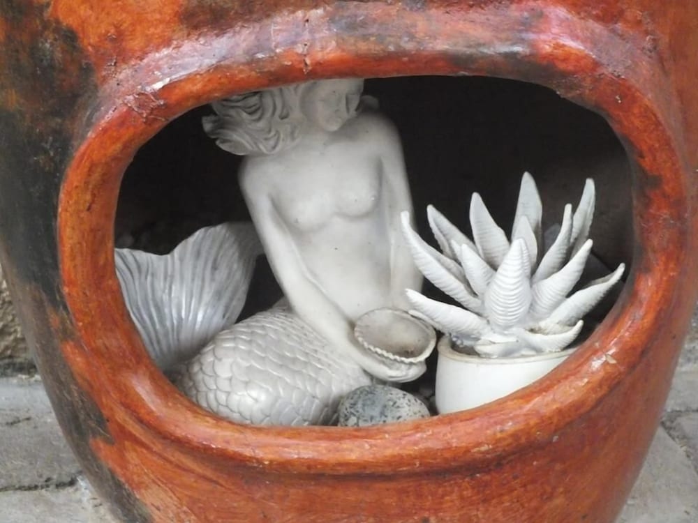 Photo 41