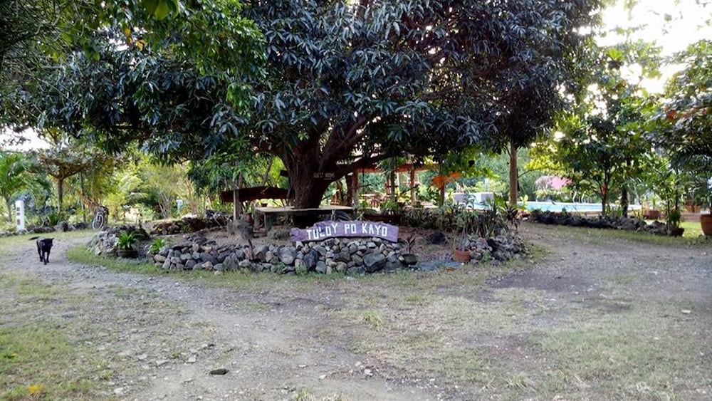 Photo 29