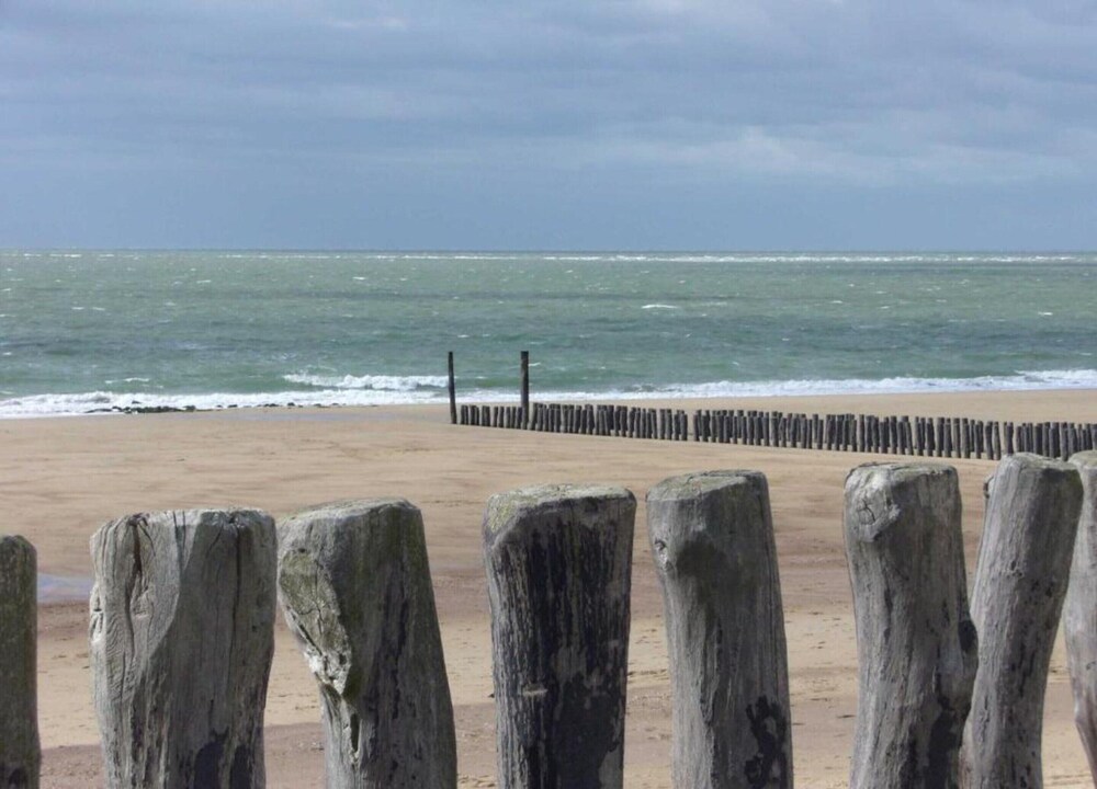 Wifi and Golden Beaches; Home