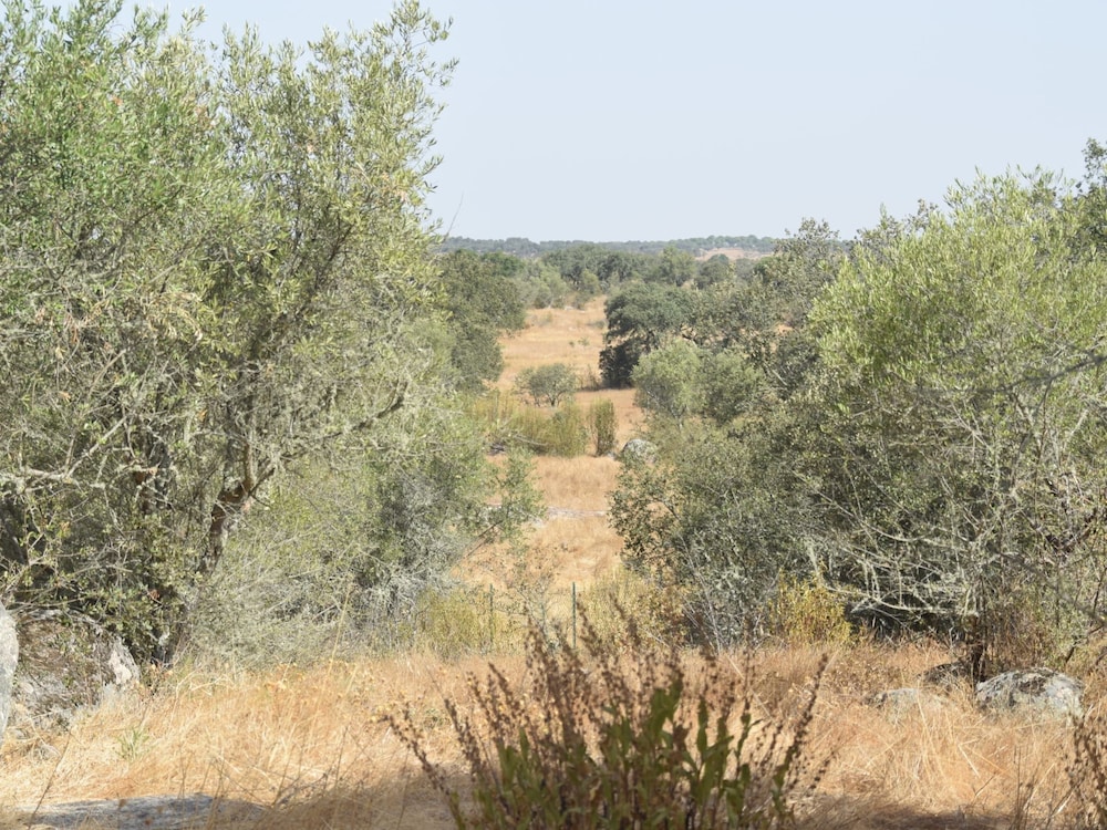 Photo 32
