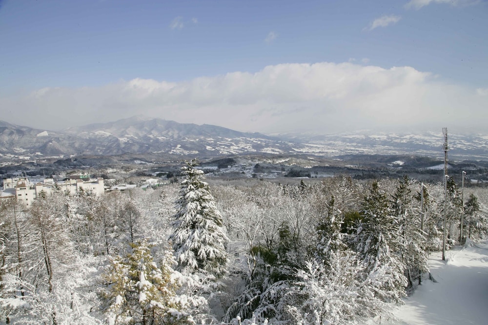 Seikanso