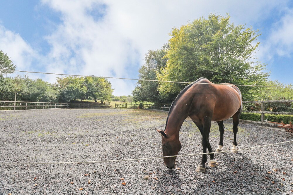 Truro Vacations - Manege Cottage - Property Image 15