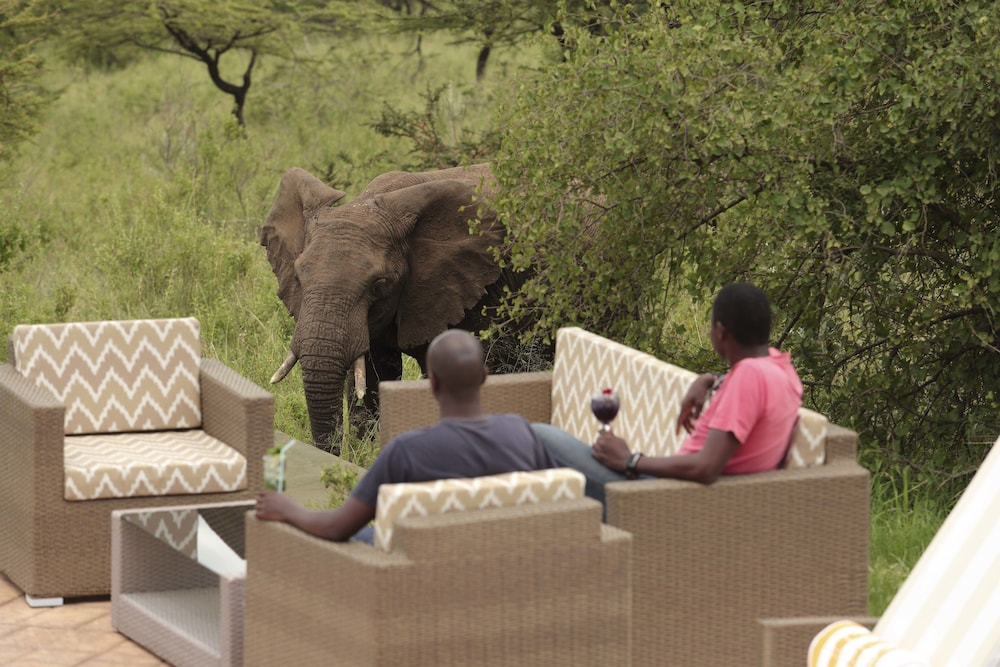 Spirit Of The Masai Mara