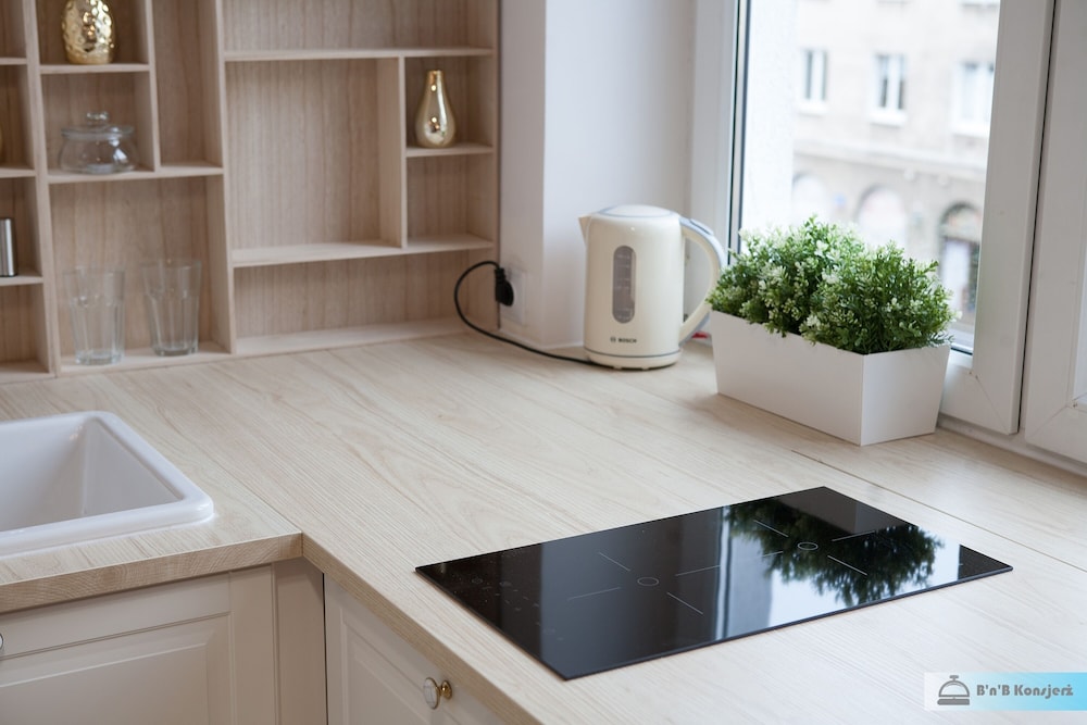 Warsaw Concierge Royal Baths Studio view 5